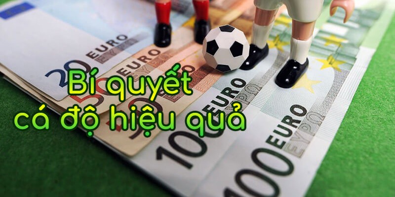 Bật mí cách đặt cược World Cup 2026 Qualification Asia hiệu quả
